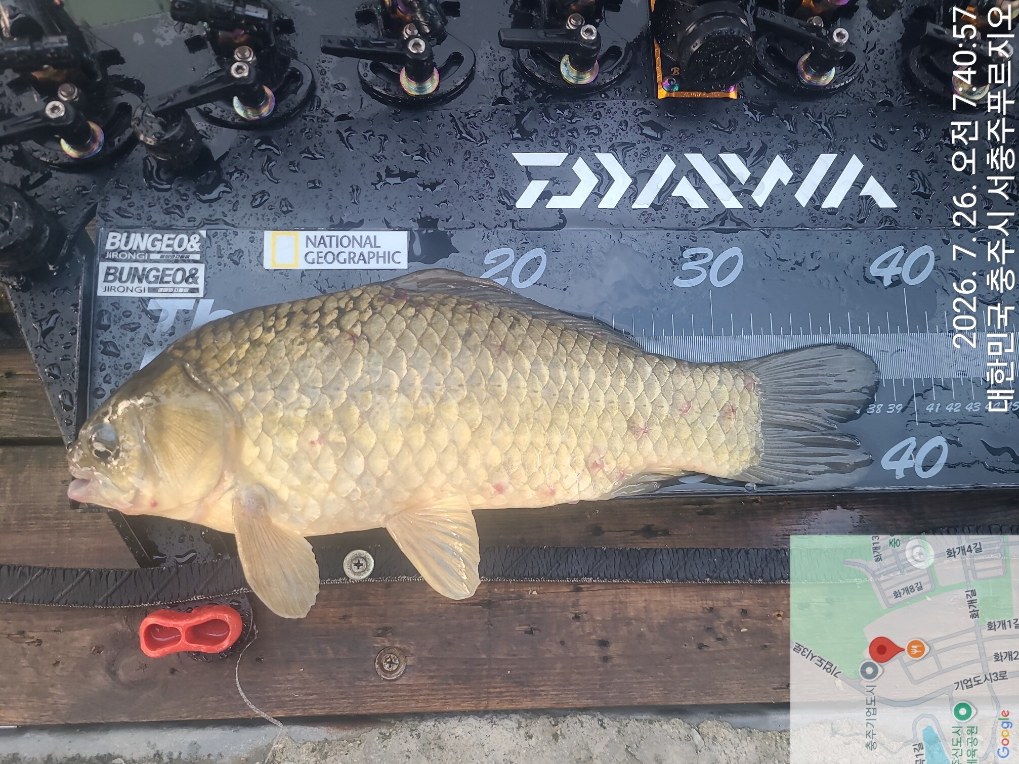 Fish catch