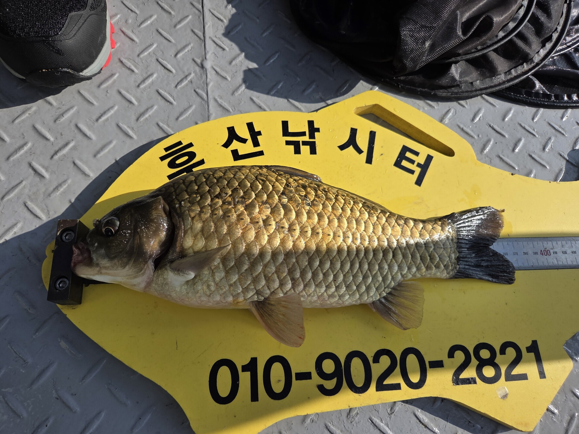 후산 사짜