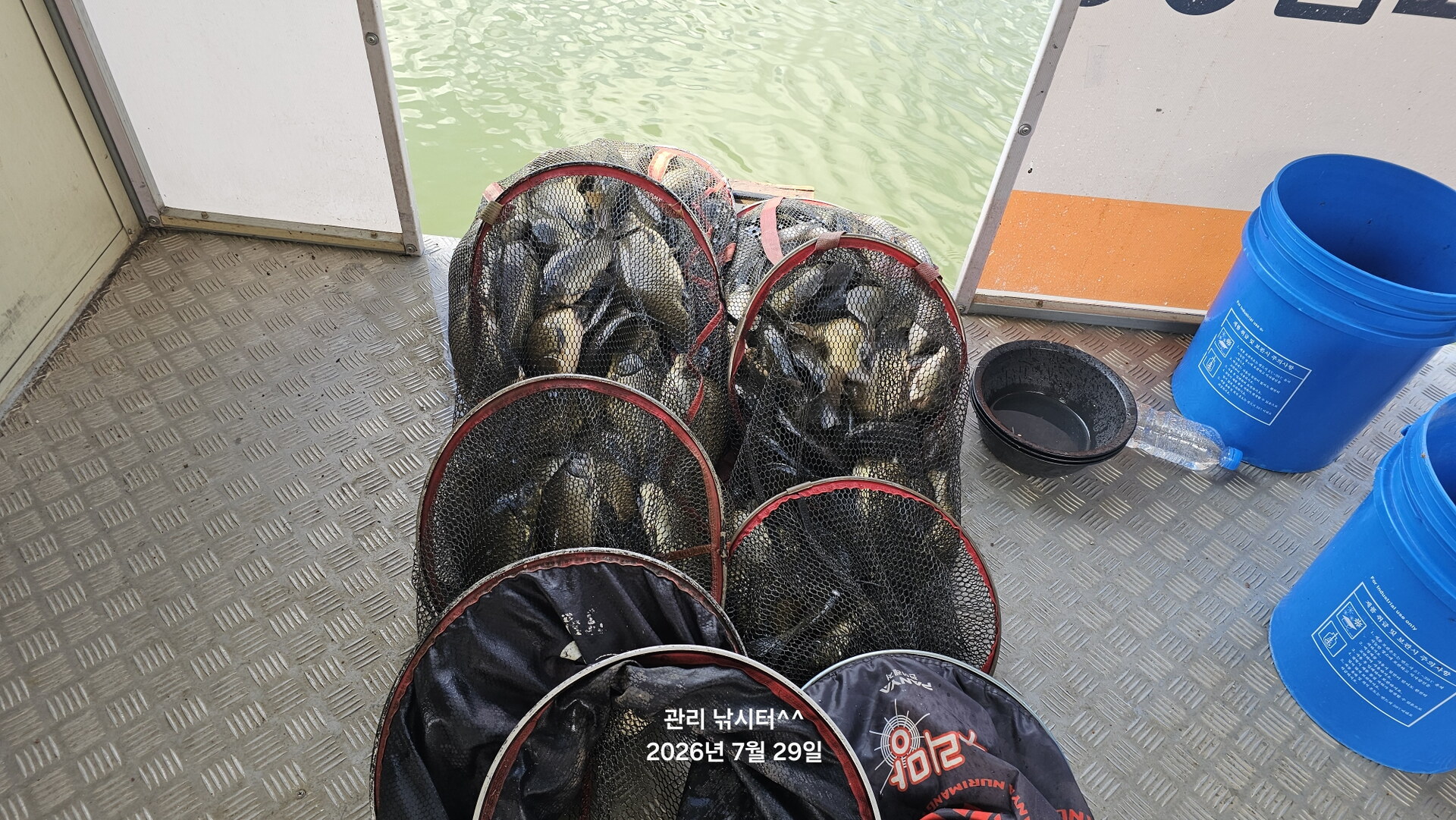 관리낚시터