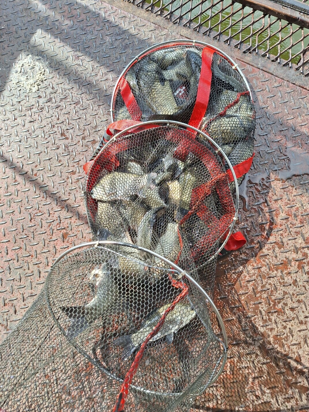 통삼낚시터 입니다