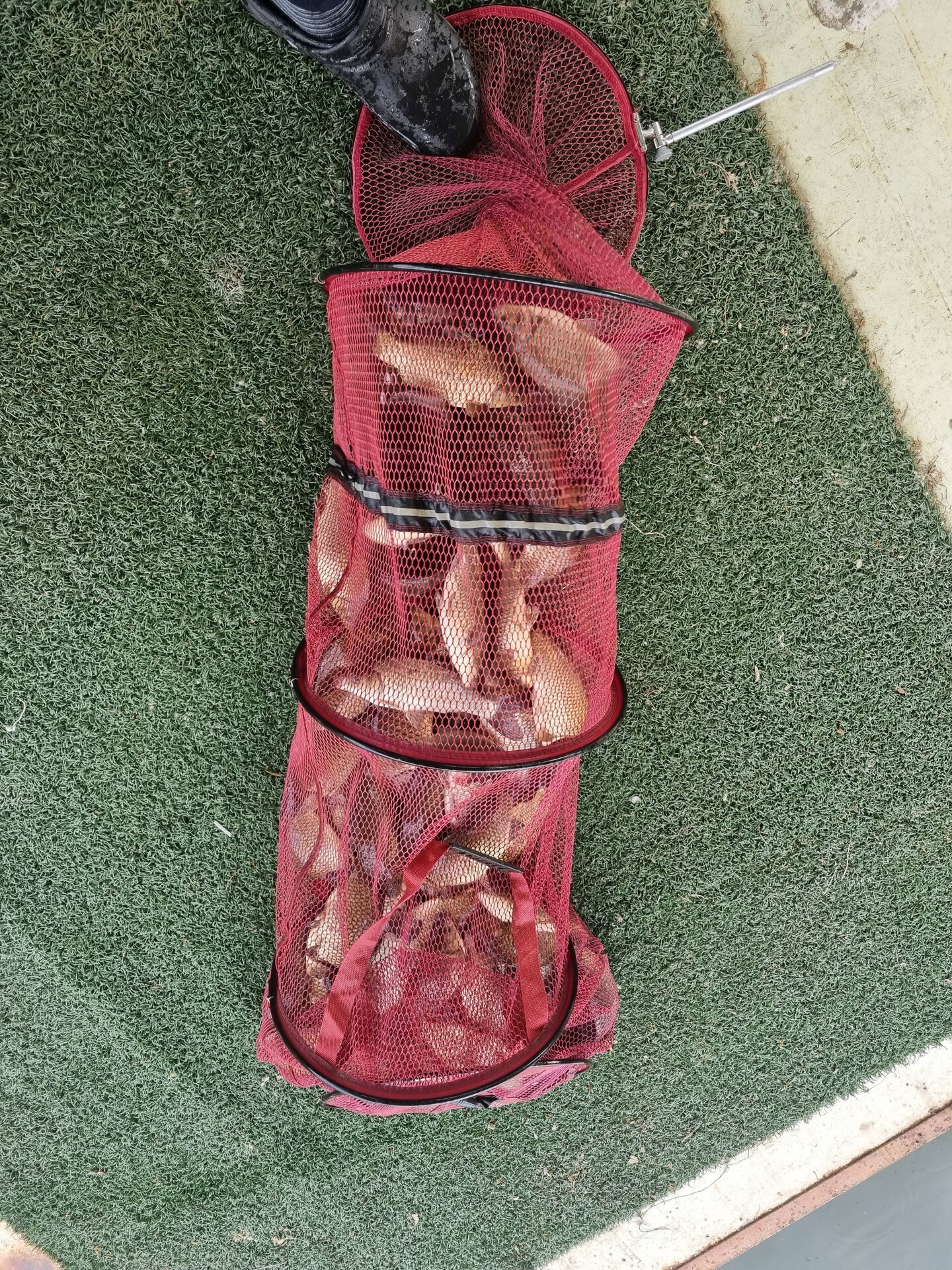 용대리낚시터