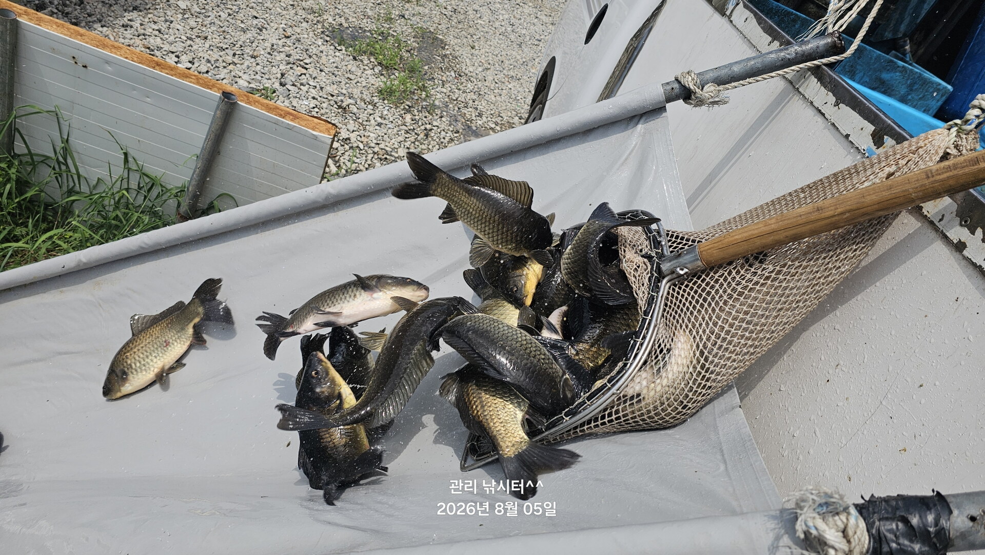관리낚시터