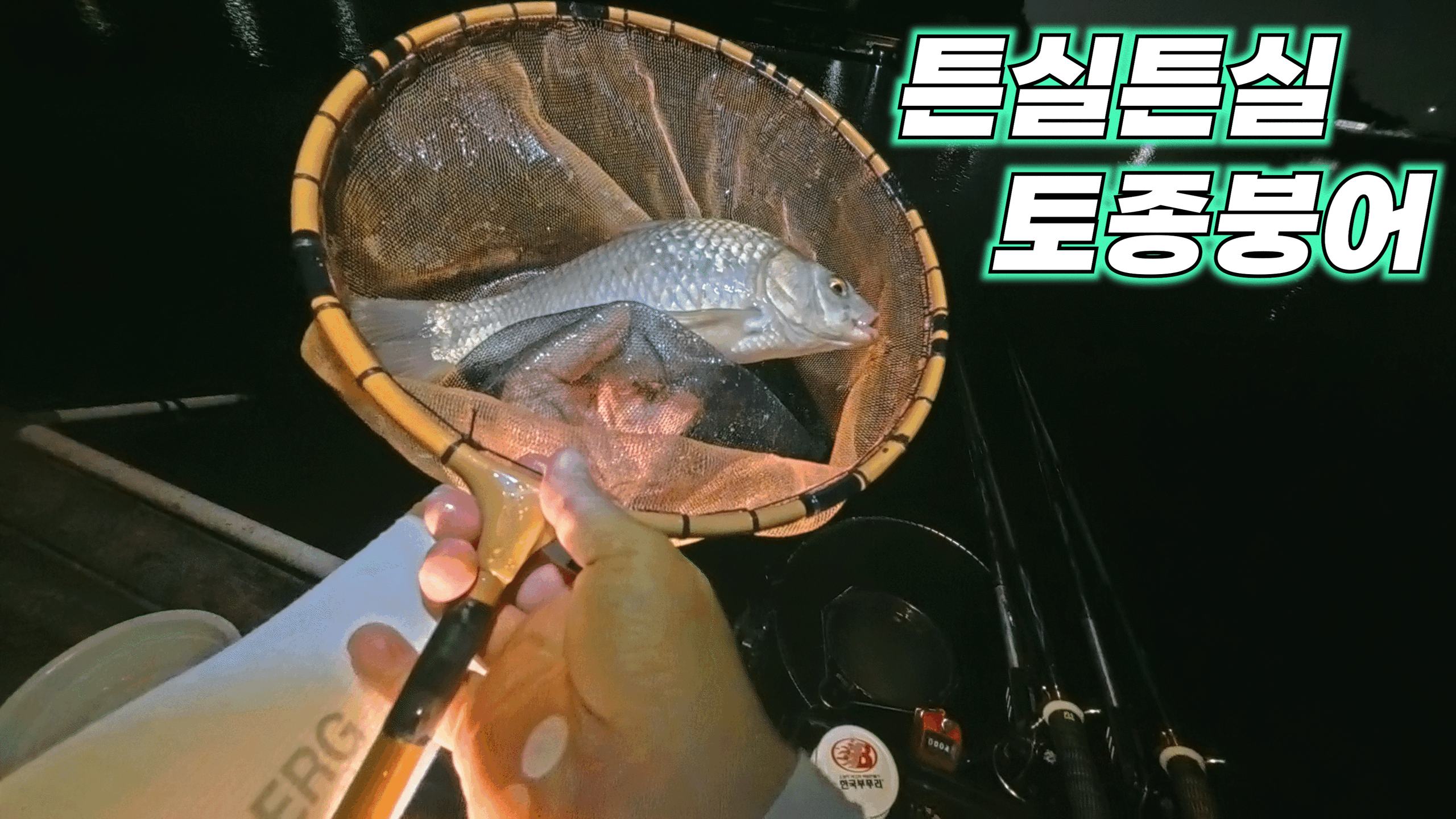 토종붕어
