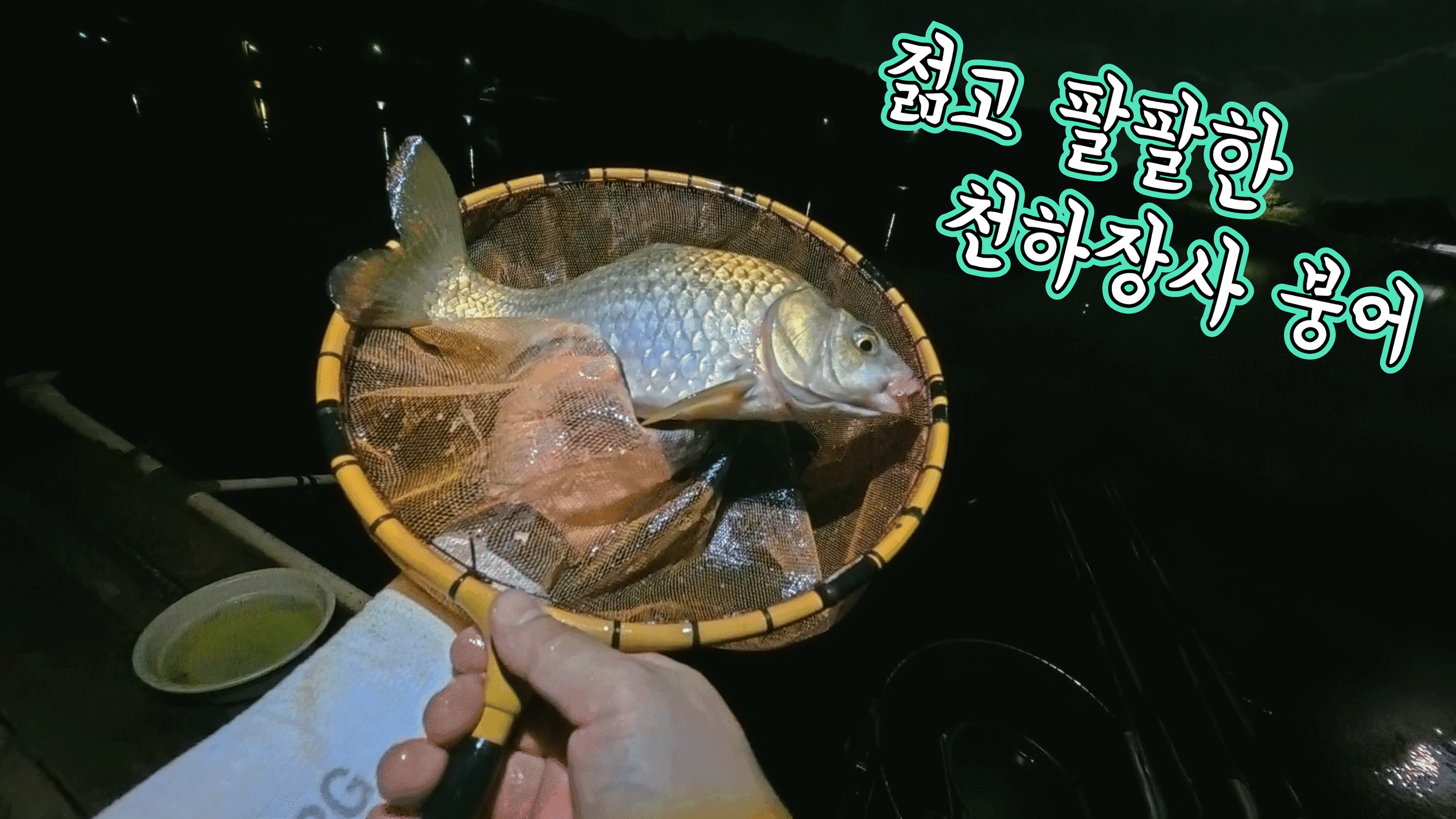 향(잉)붕어