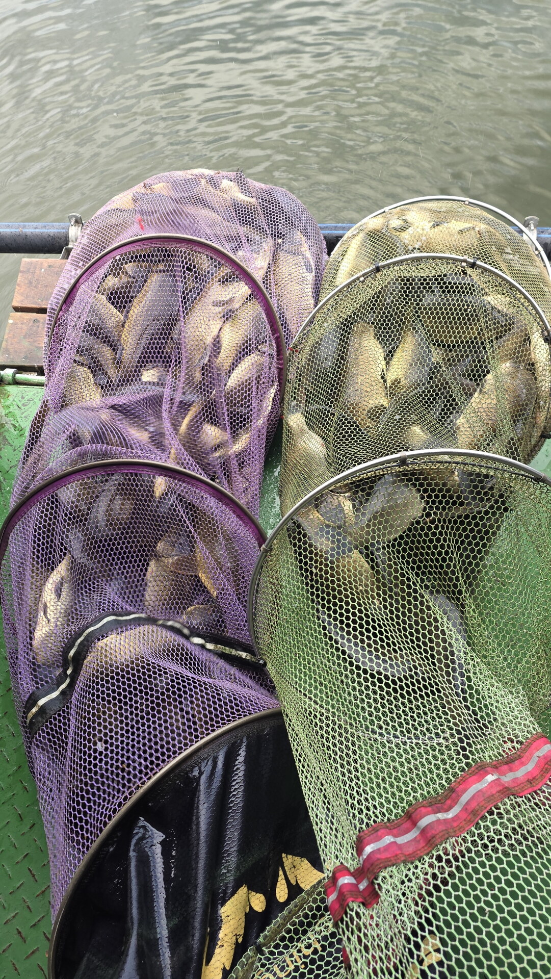 관리낚시터