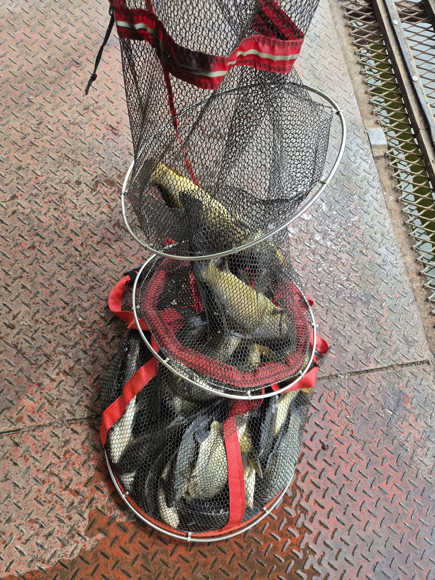 통삼낚시터 입니다