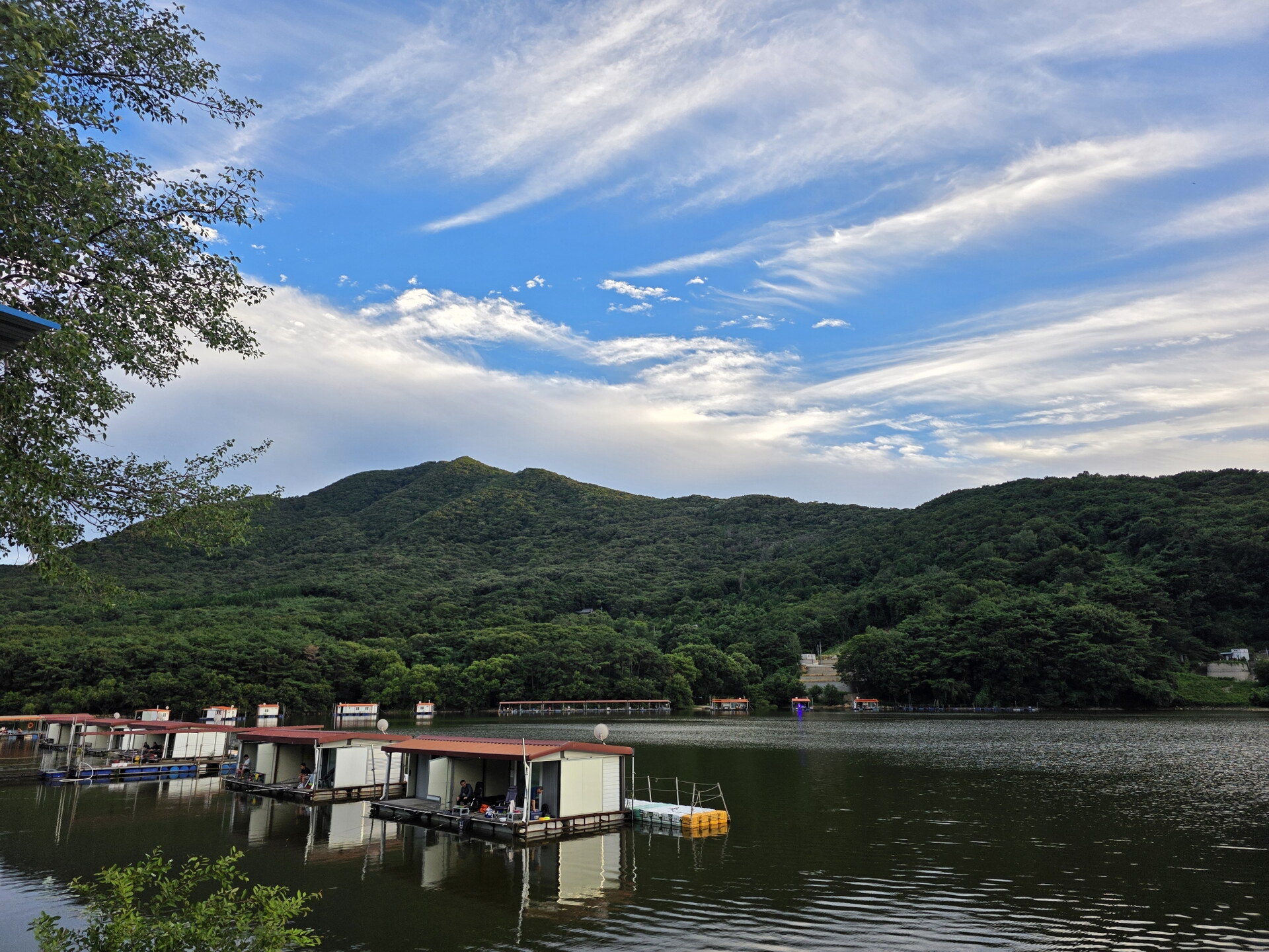 아산 산들낚시터 8월11일 조황정보