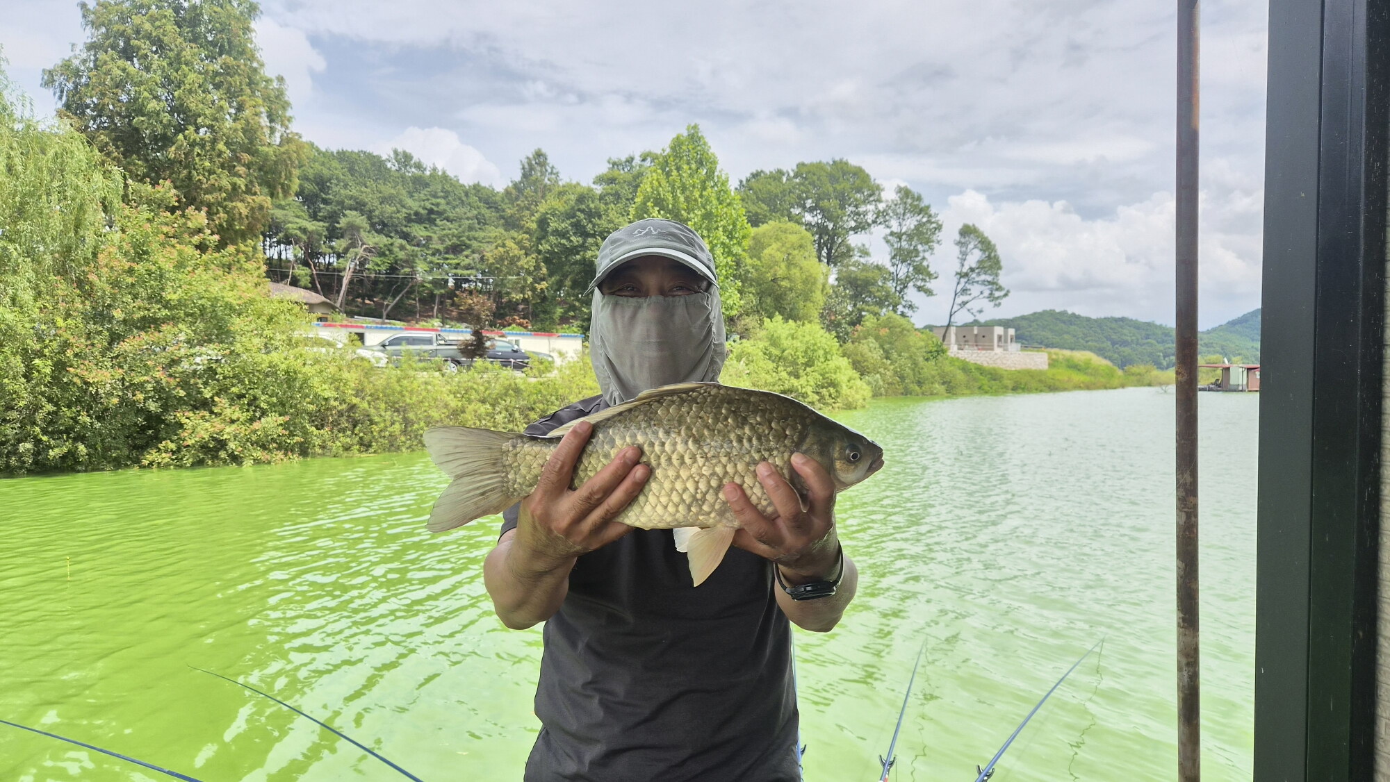 Fish catch