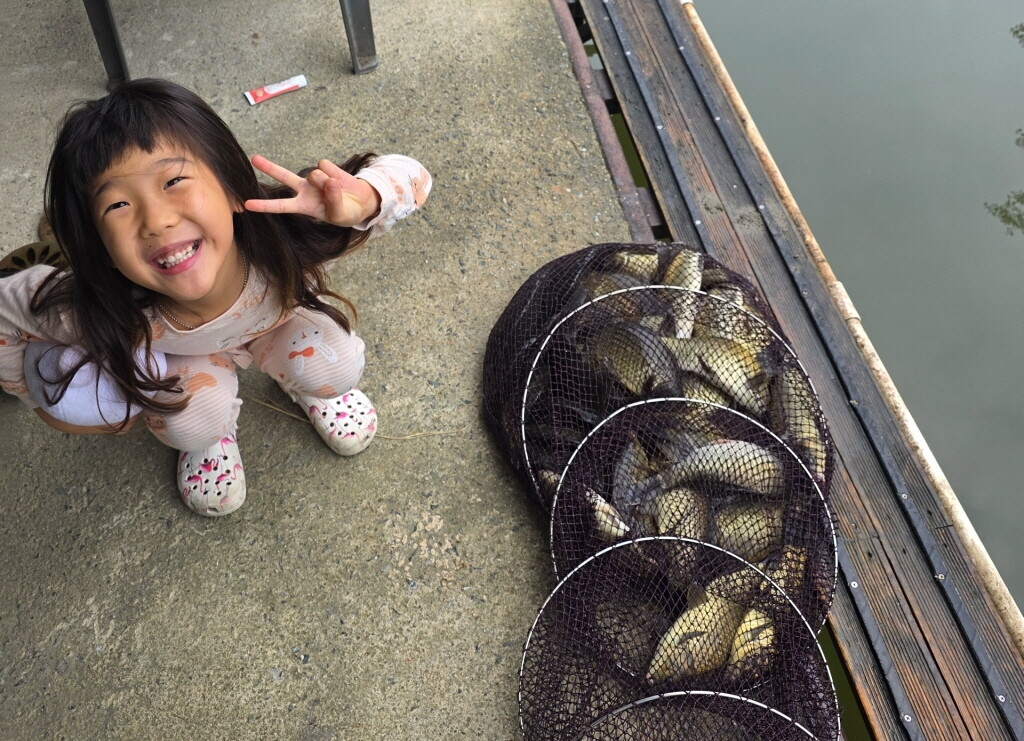 아산 산들낚시터 8월21일 붕어방류 및 조황