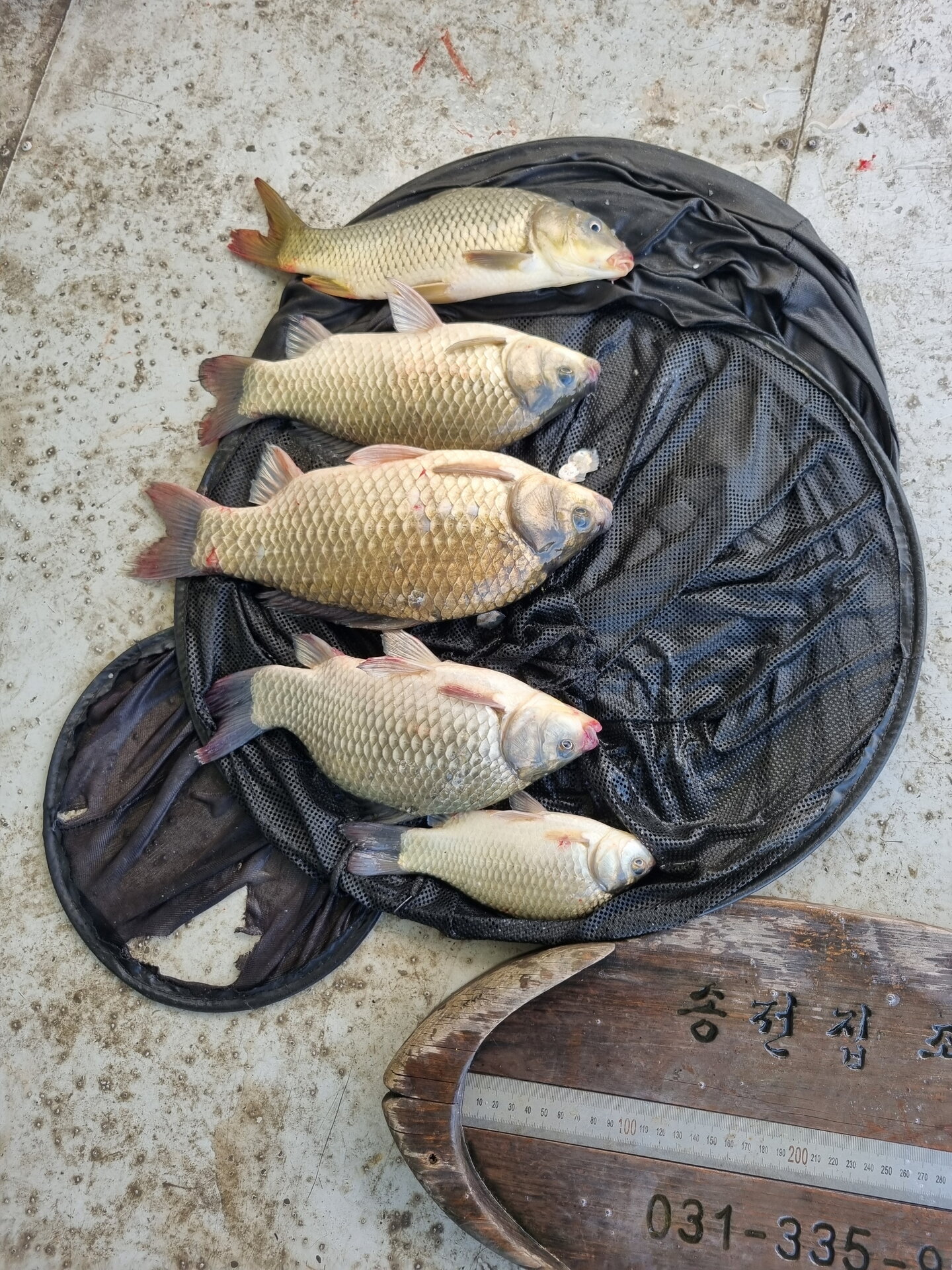 송전지 송전좌대 입니다