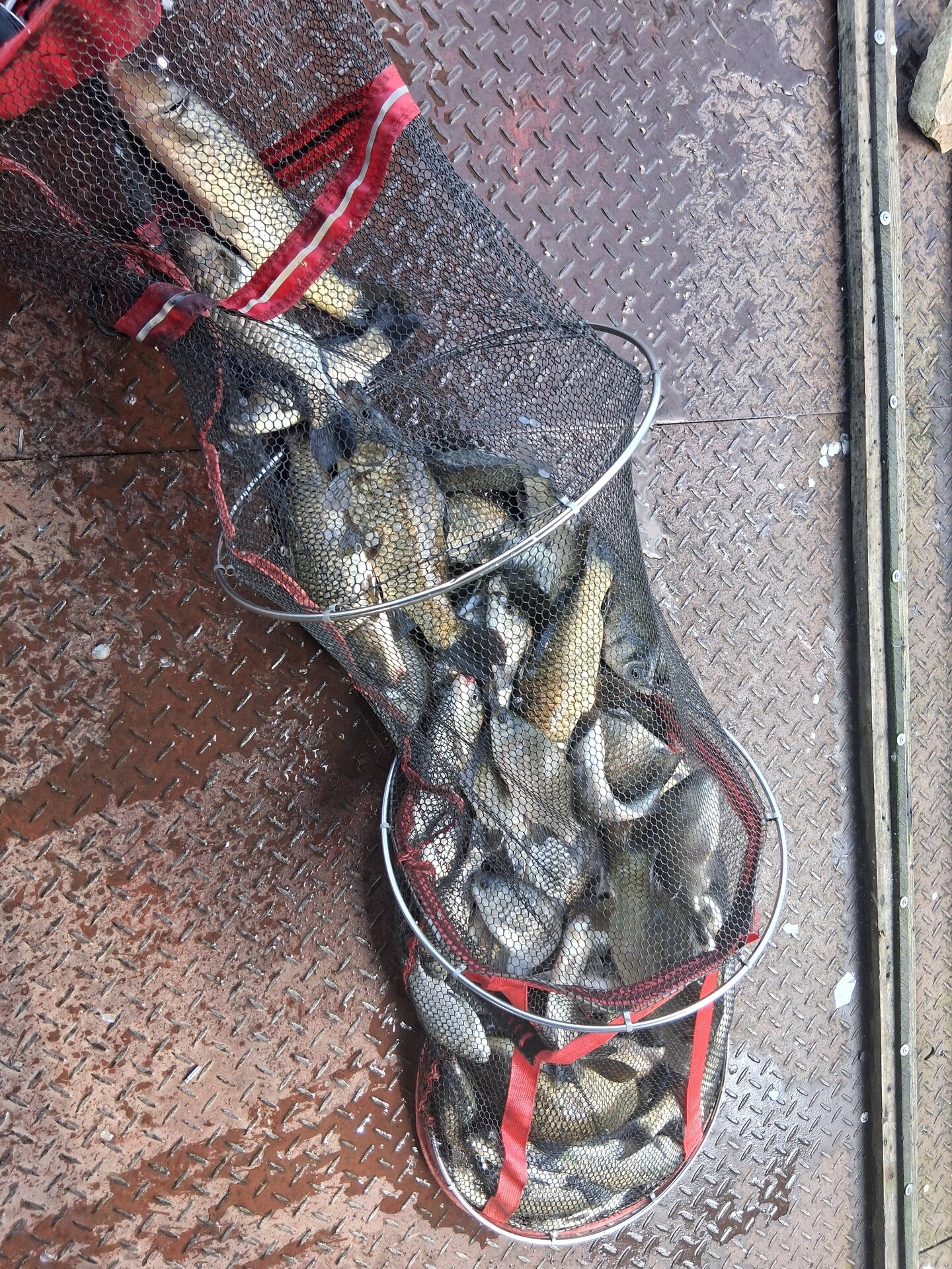 통삼낚시터 입니다