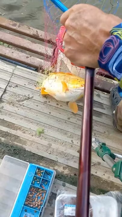남창낚시터 영상조황입니다 !!