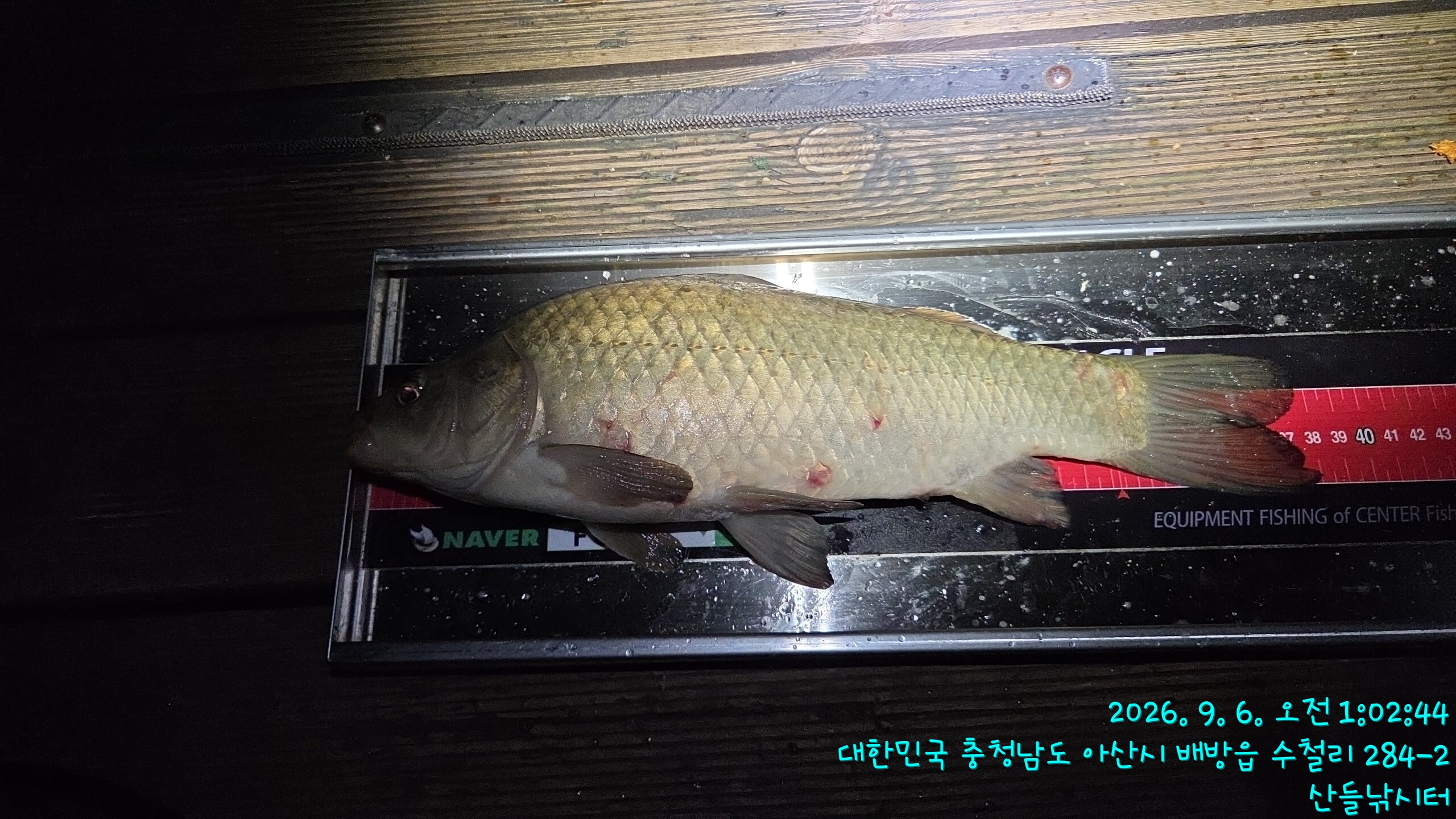 최대어
