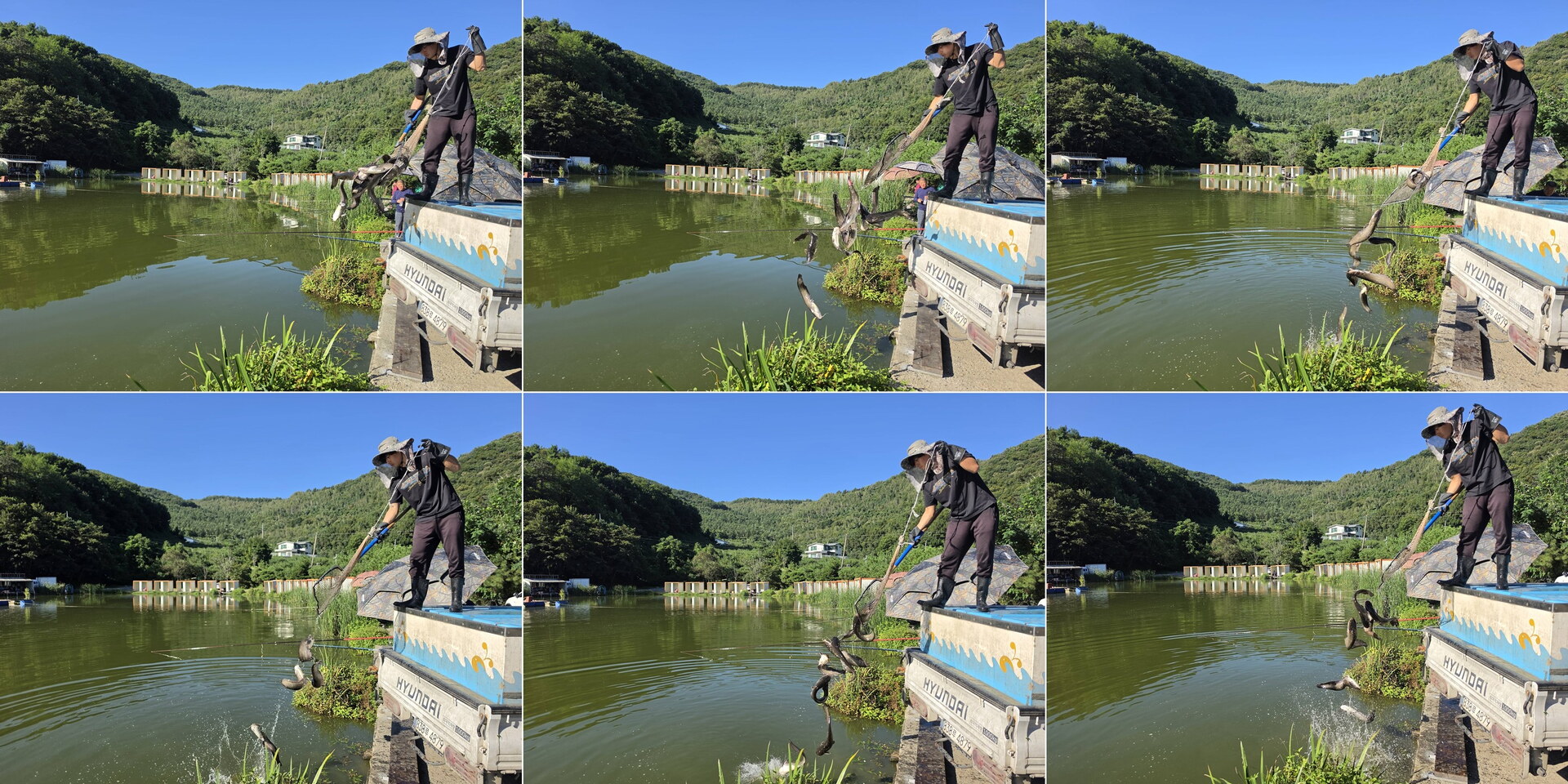 시원한 바람에 대물들이 움직입니다~~~