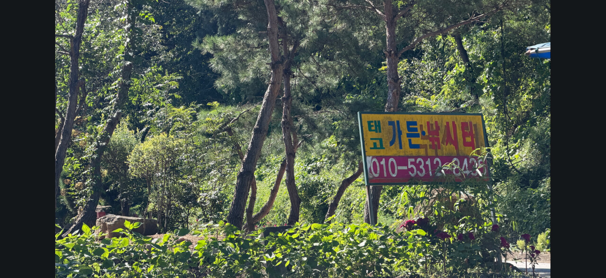 충주 소류지 낚시터 출조 영상과 조행기