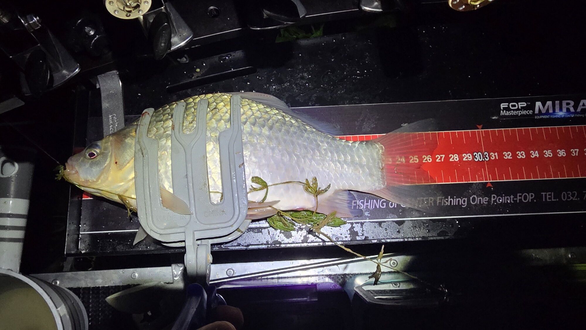 충남 논산소류지 7월28일