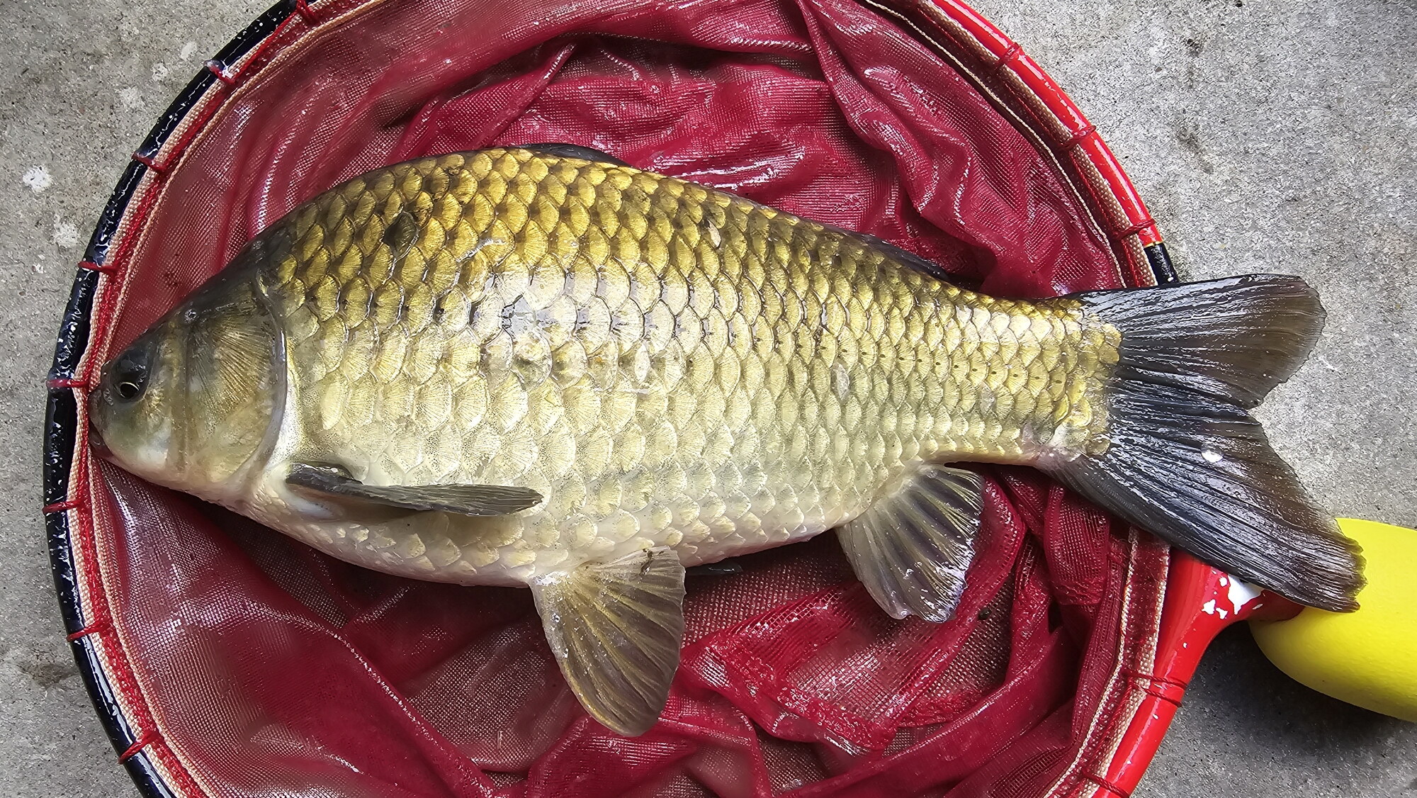 동교 낚시터