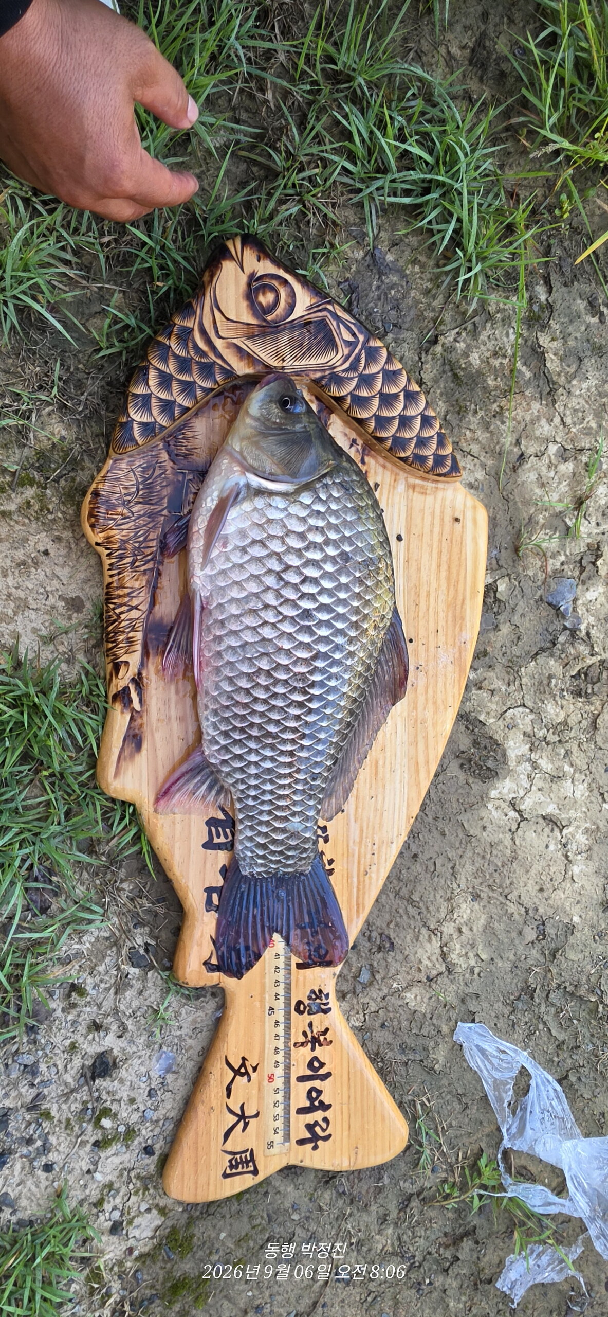 Fish catch