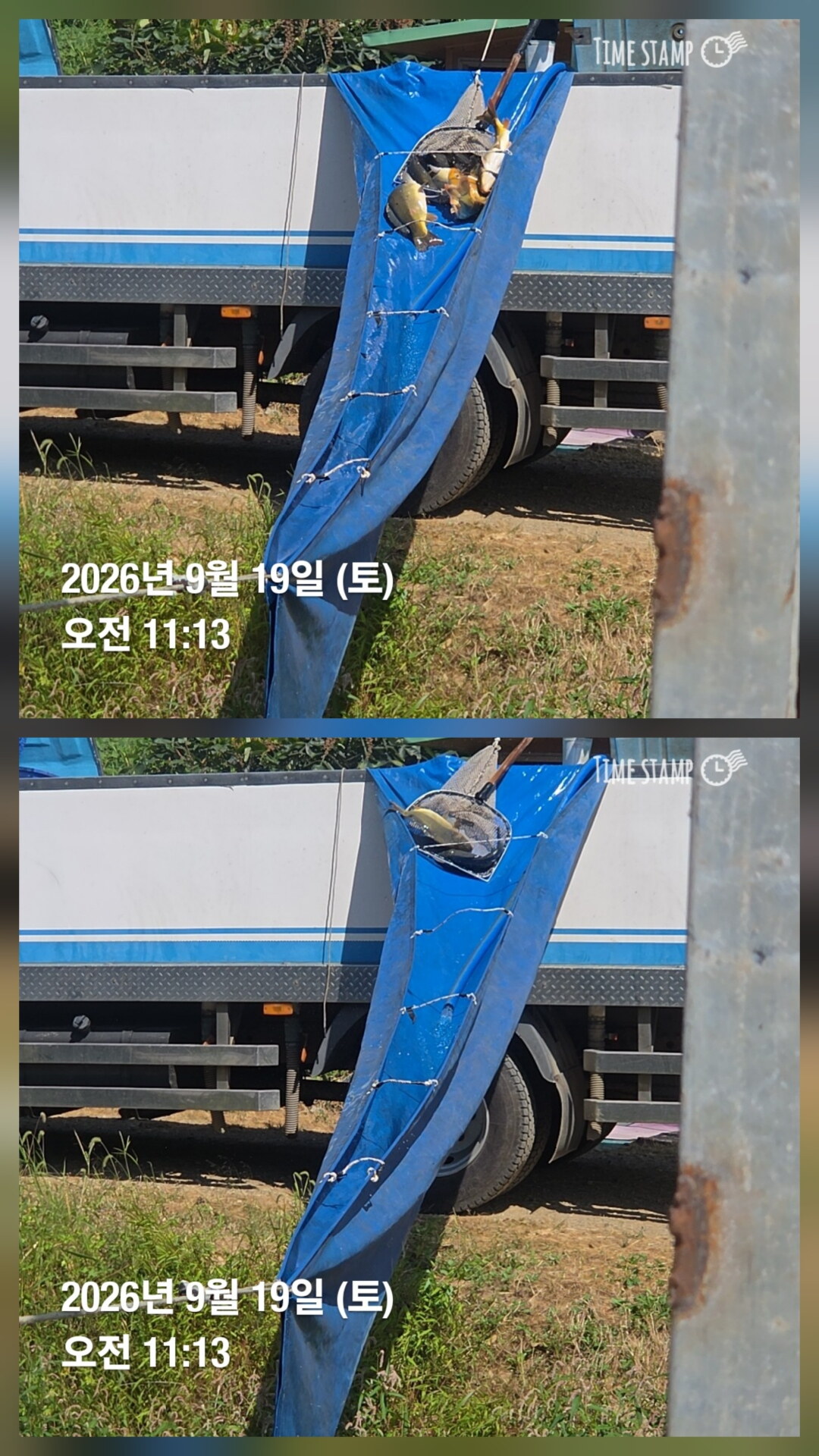 한터낚시터 13일16일18일2호지가두리방류 9월19일 직방류20일2호지가두리방류예정