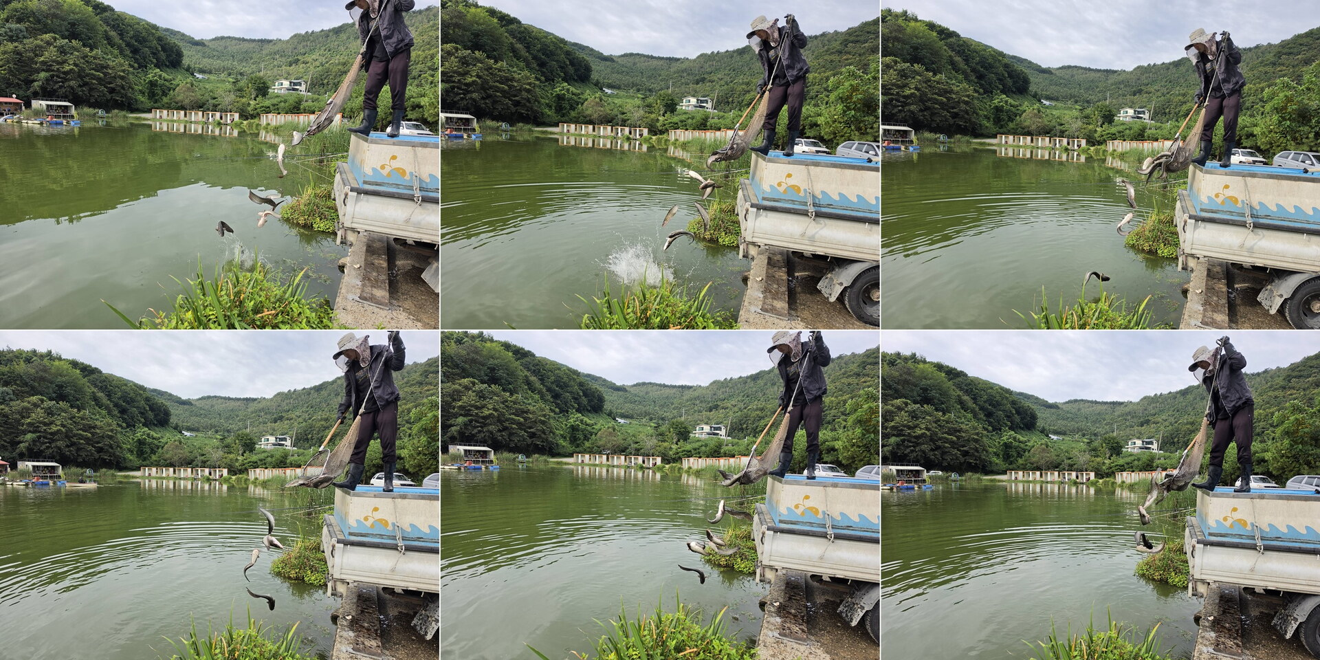 장어 마지막 방류 합니다~~~