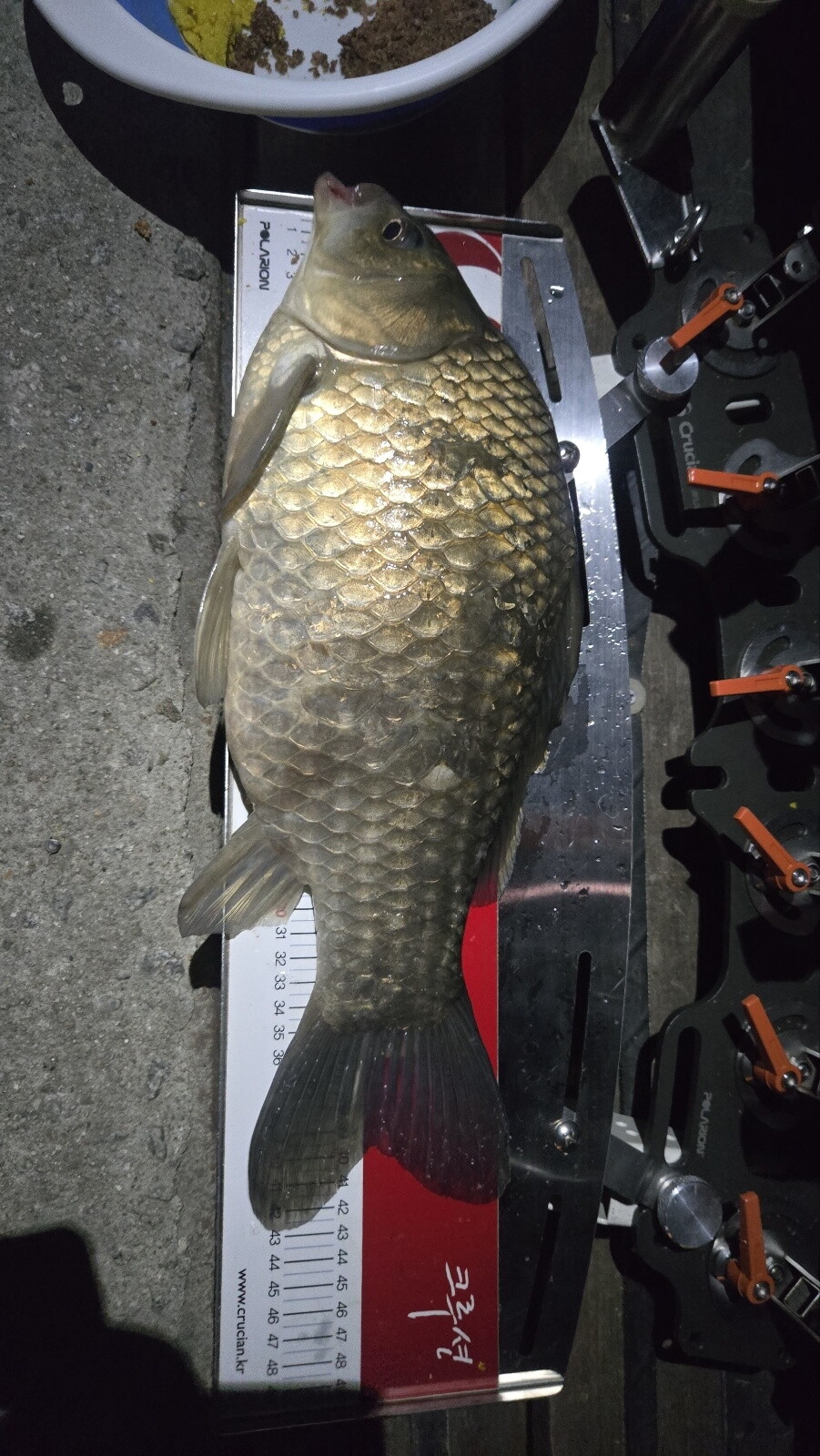 Fish catch