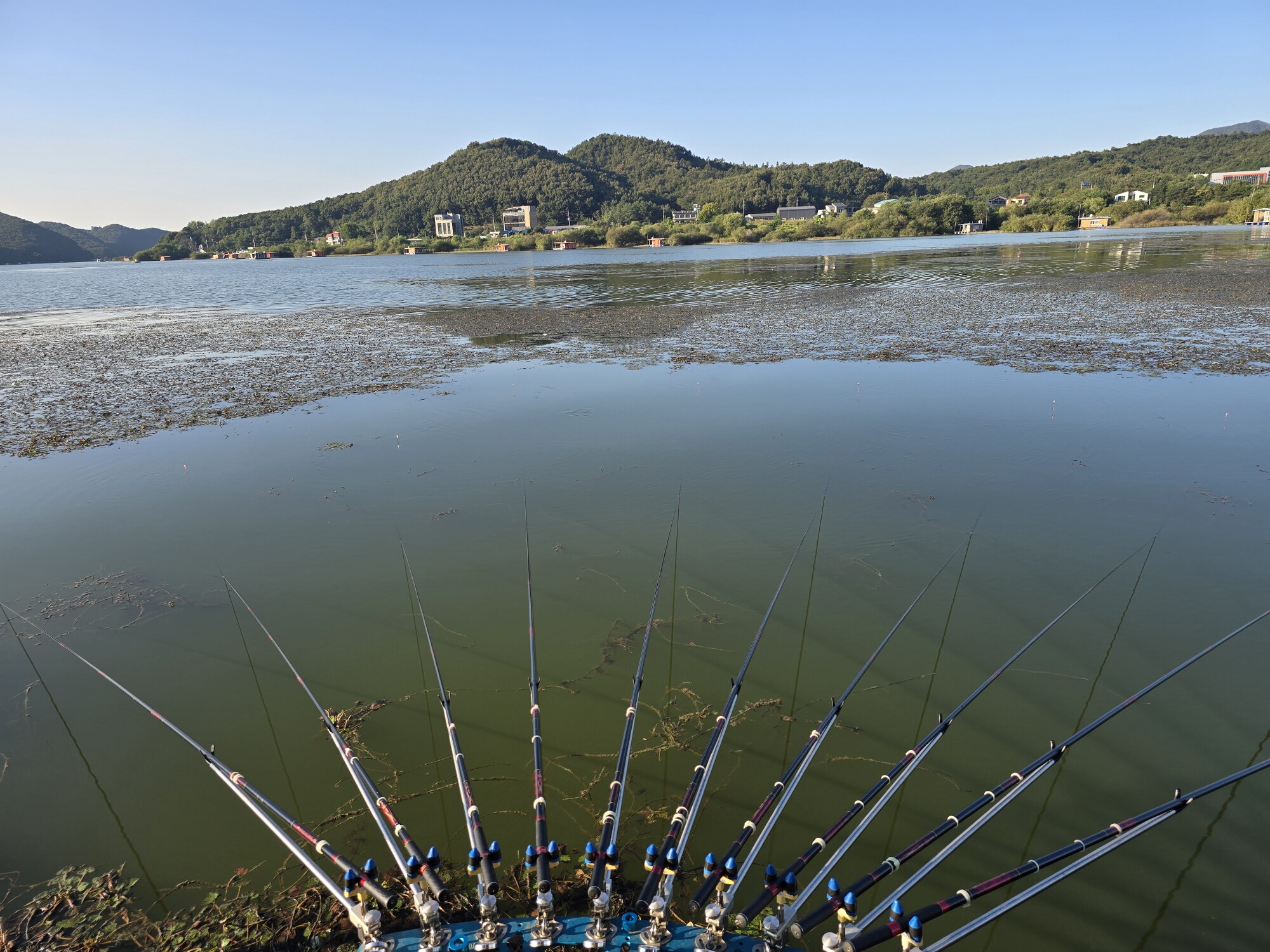 배수가 멈춘 5일차의 송전지