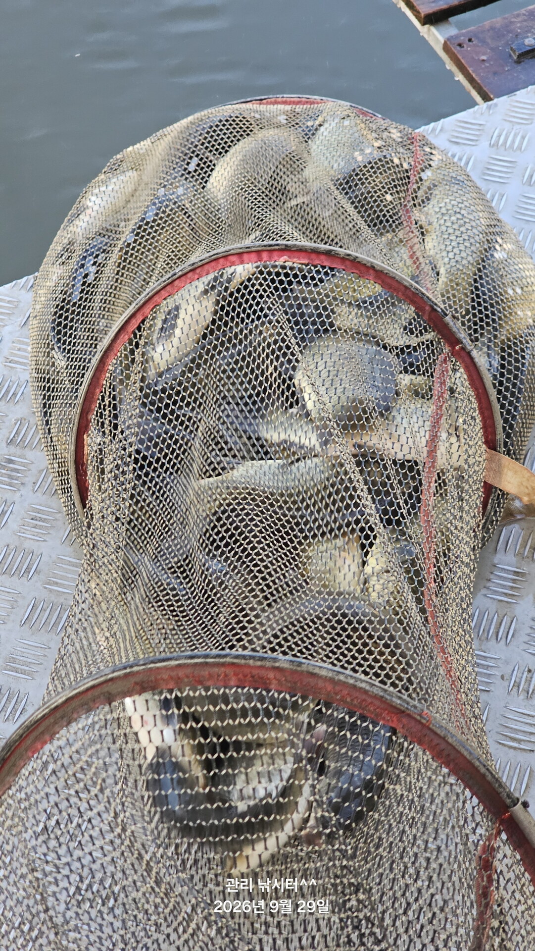 관리낚시터