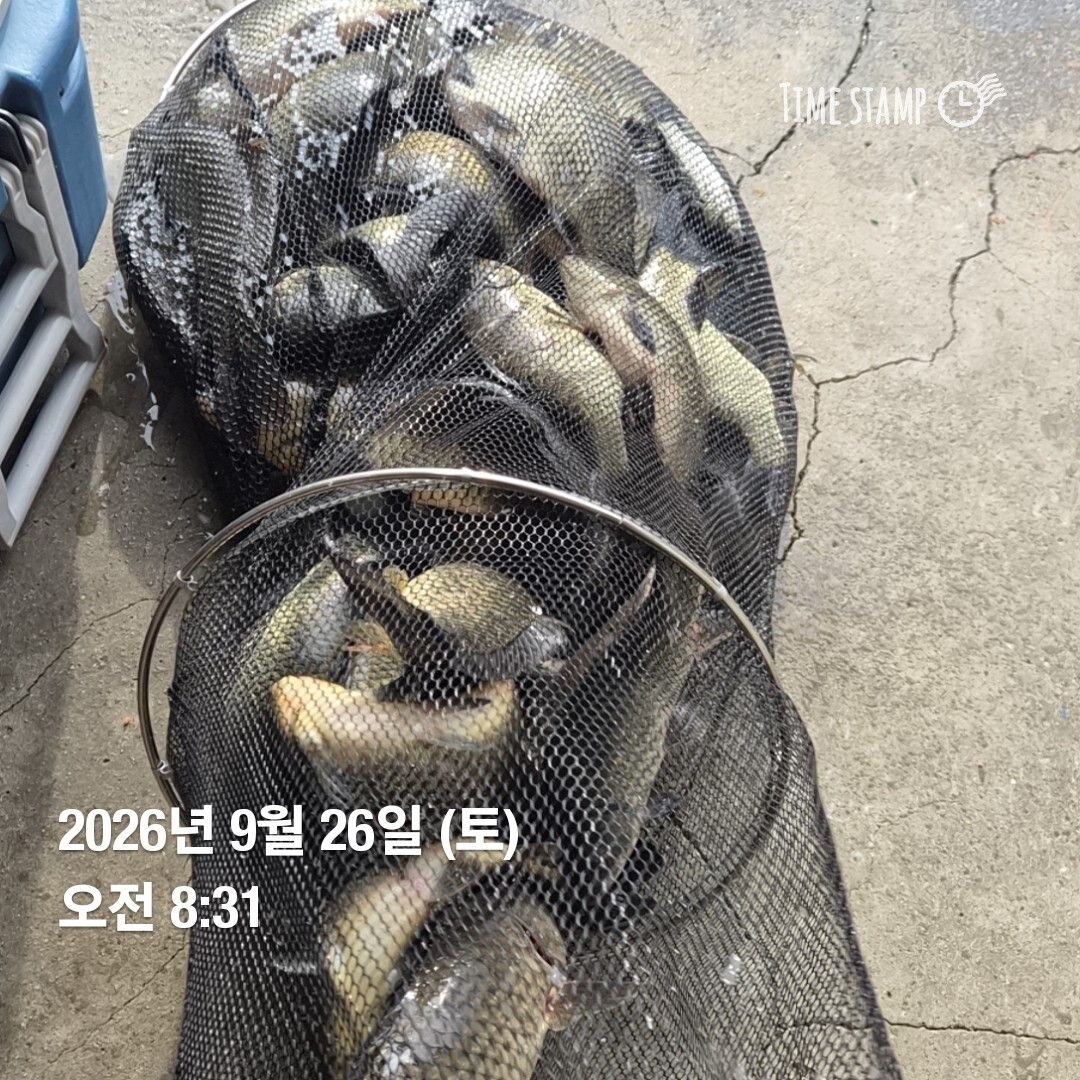 잘나옵니다